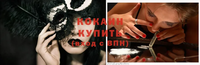 Cocaine Fish Scale  где купить наркотик  Кашин 