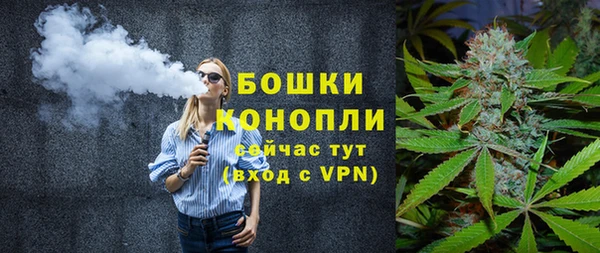 ГАЛЛЮЦИНОГЕННЫЕ ГРИБЫ Новокубанск