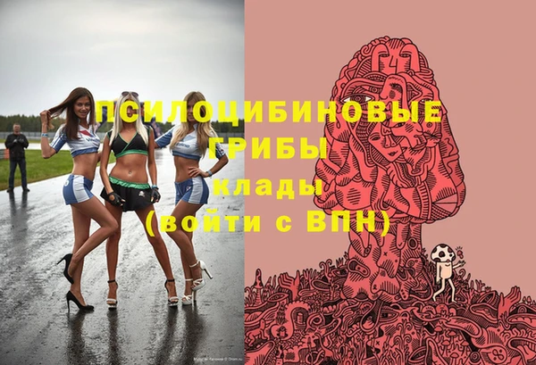 каннабис Новозыбков