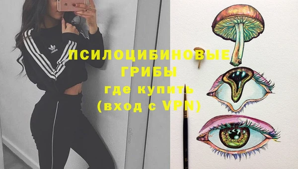 МДПВ Нефтекумск