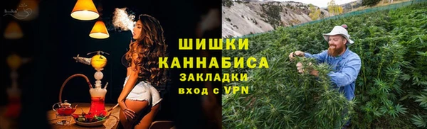 каннабис Новозыбков
